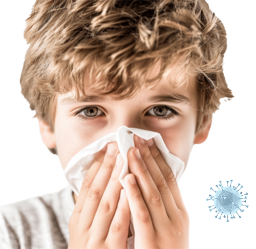 Air Ducts Cleaners Missouri city TX